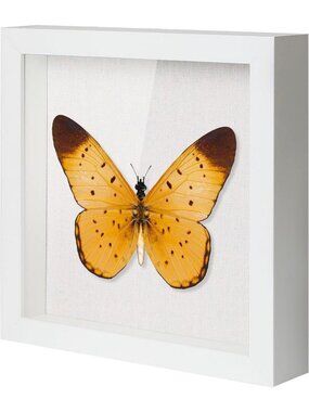 10x10 Shadow Box Frame with Linen Backboard & Glass for Photos, Medals